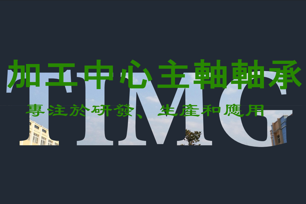 TIMG軸承簡報